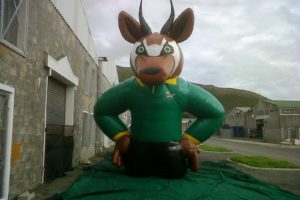 SpringBok Character